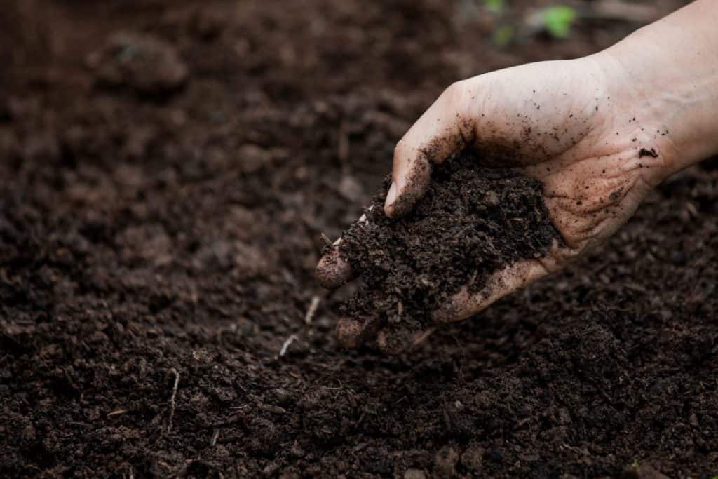 Is Soil a Heterogeneous Mixture All You Need to Know
