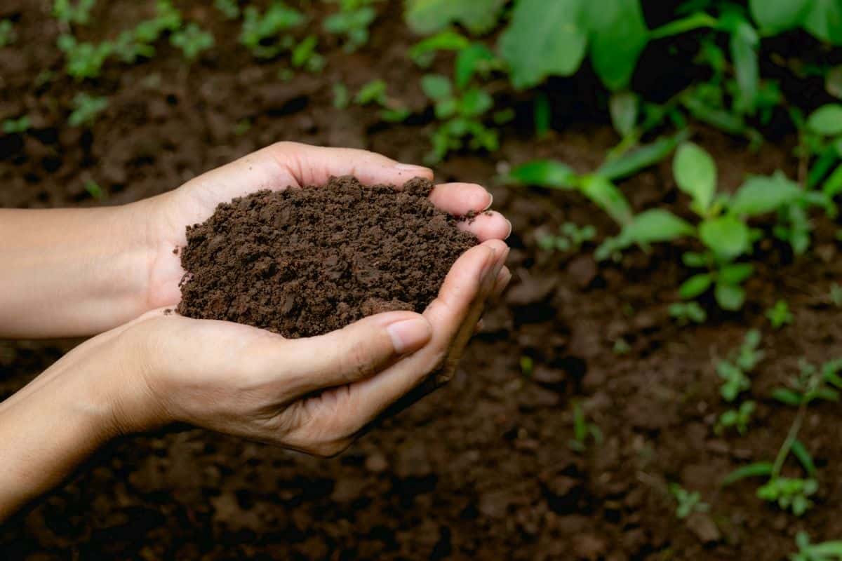 Is Soil a Heterogeneous Mixture All You Need to Know